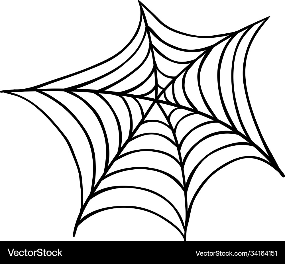 spider web full page design spider web full page design