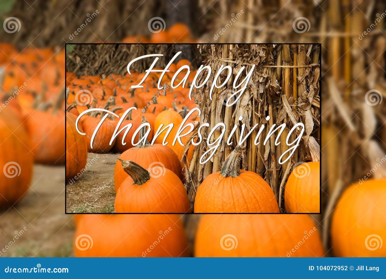 Happy Thanksgiving Pumpkin Patch Stock Photo Image Of Happy Autumn 104072952 Happy Thanksgiving Pumpkin Patch Stock Photo Image Of Happy Autumn 104072952