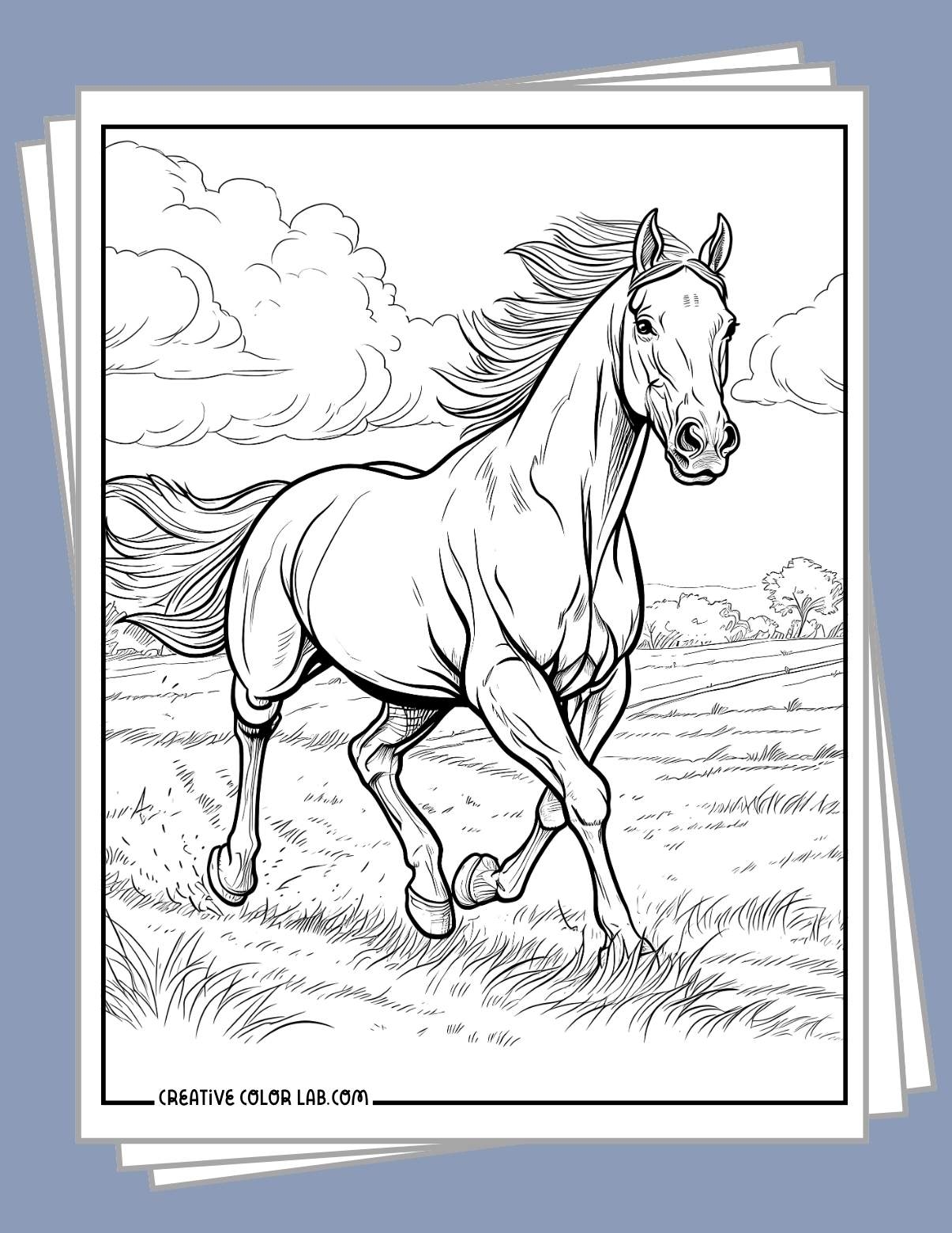 pictures to color of horses