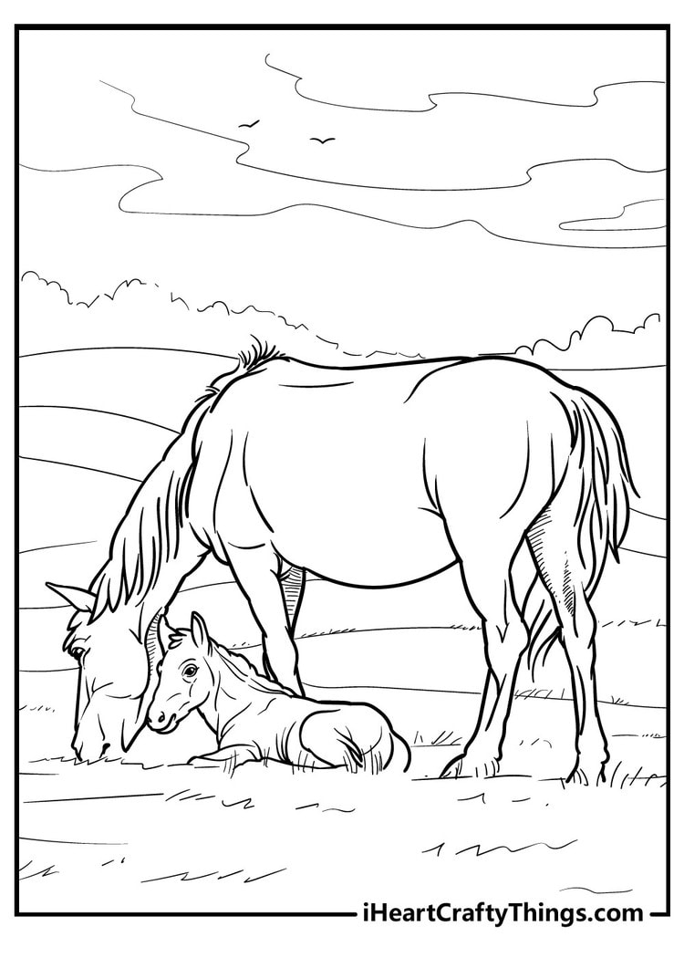 printable horse coloring book