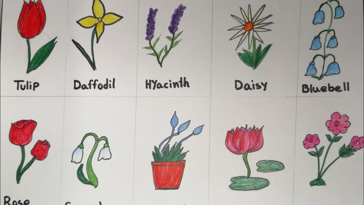 How To Draw Different Types Of Flowers How To Draw Coloring Flowers For Kids Learn Flower Names YouTube How To Draw Different Types Of Flowers How To Draw Coloring Flowers For Kids Learn Flower Names YouTube