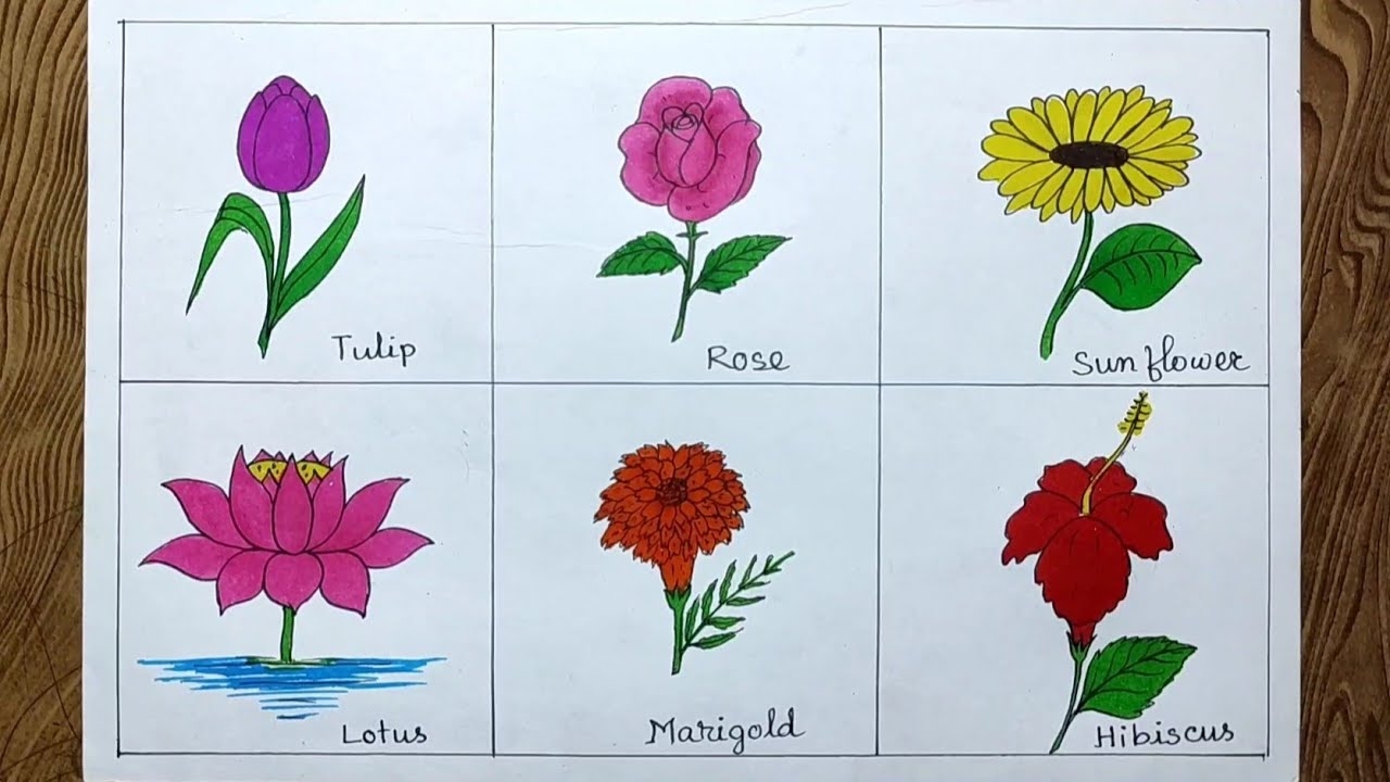 How To Draw Flowers Different Types Of Flowers Drawing For Beginners YouTube How To Draw Flowers Different Types Of Flowers Drawing For Beginners YouTube