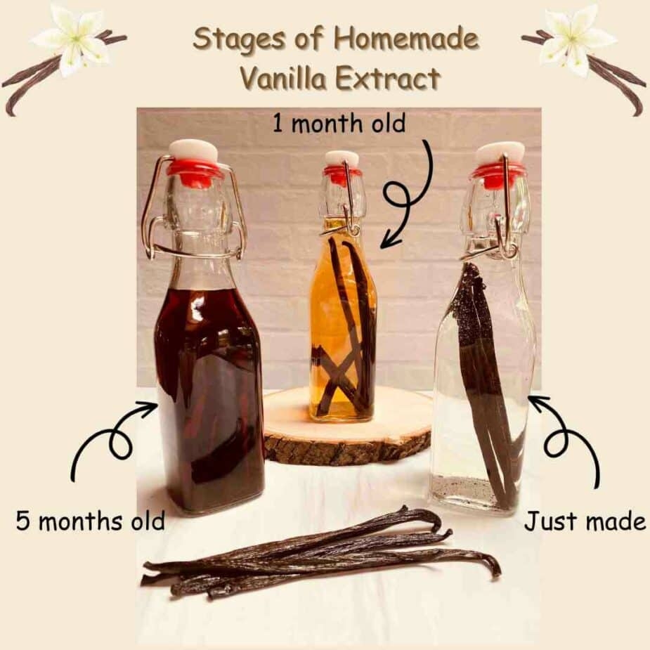 How To Make Your Own Vanilla Extract Laura M Ali MS RDN LDN How To Make Your Own Homemade vanilla extract