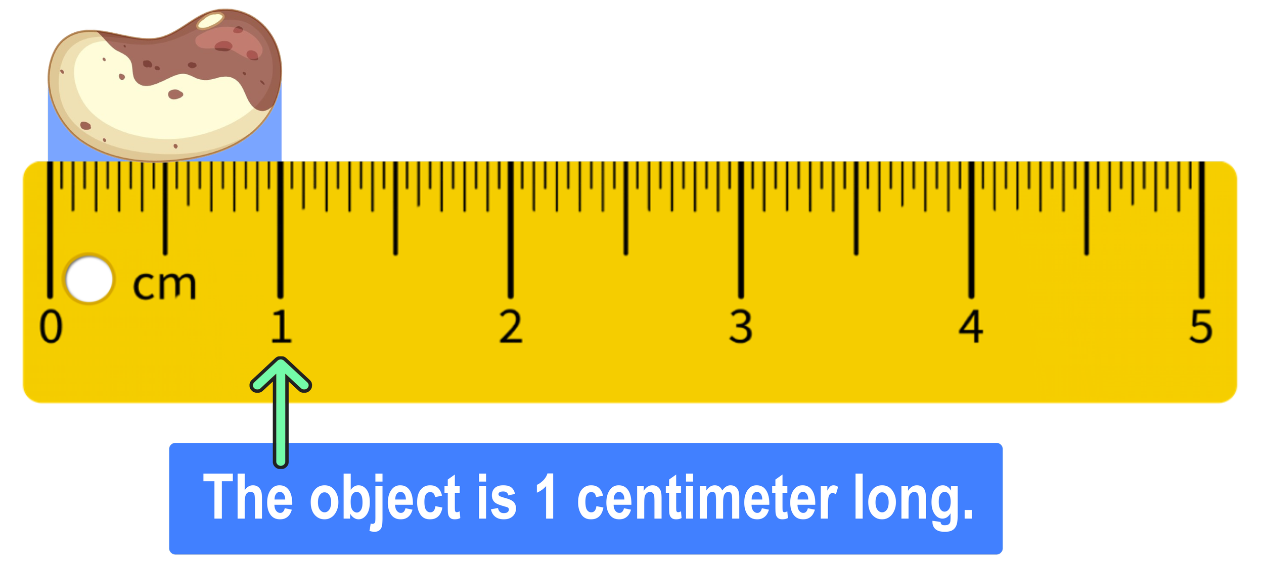 How To Read A Ruler Step by Step With Pictures Mashup Math