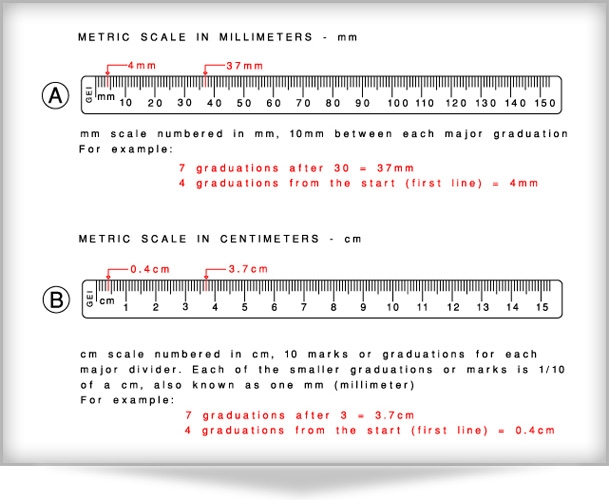 How To Use A Metric Ruler How To Use A Metric Ruler