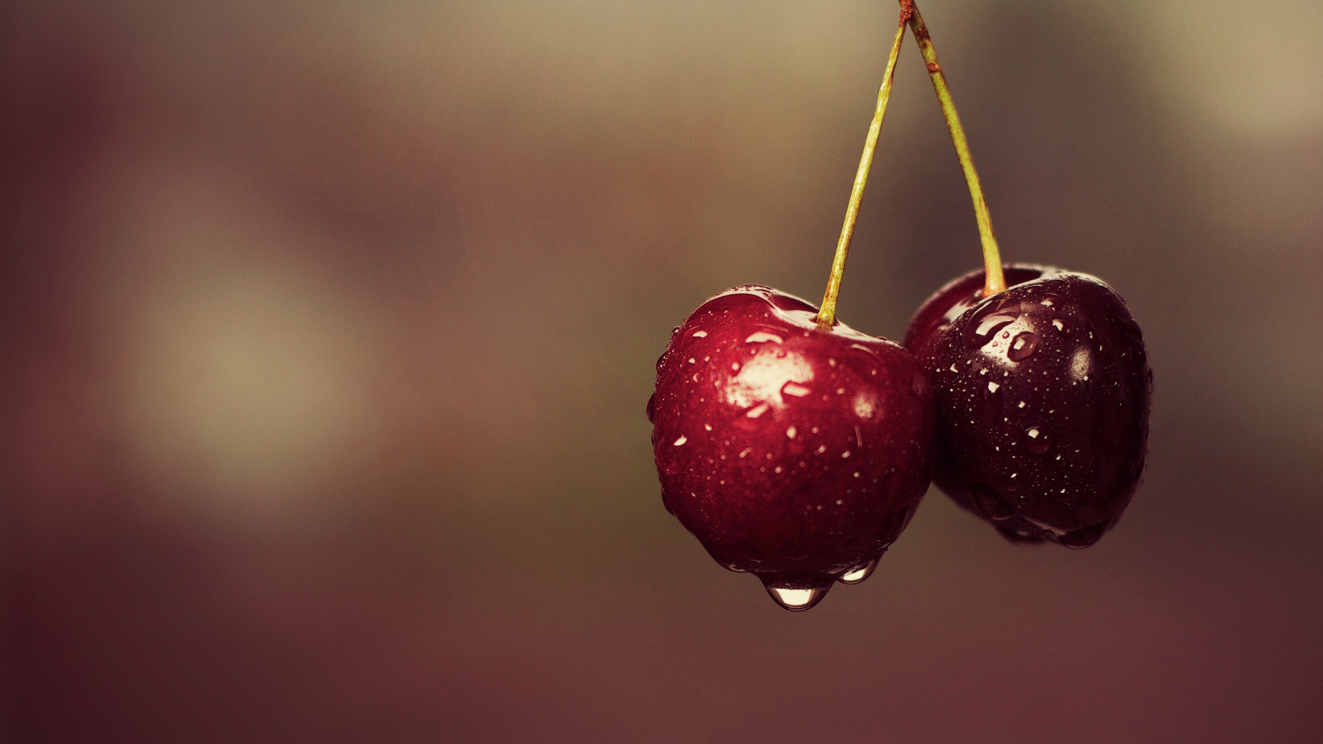 Juicy Cherries A Delightful HD Wallpaper Juicy Cherries A Delightful HD Wallpaper
