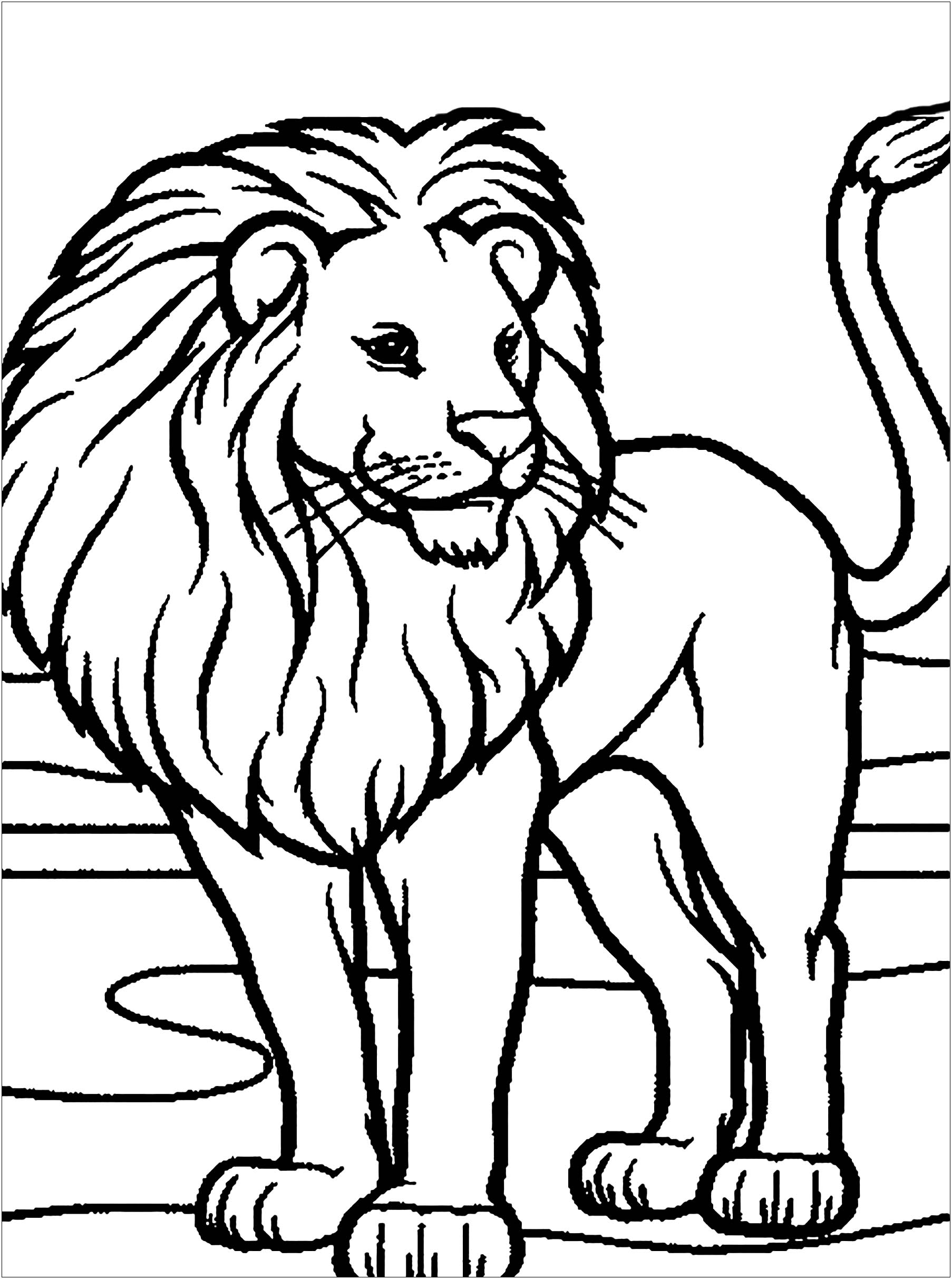 lion pictures to color lion pictures to color
