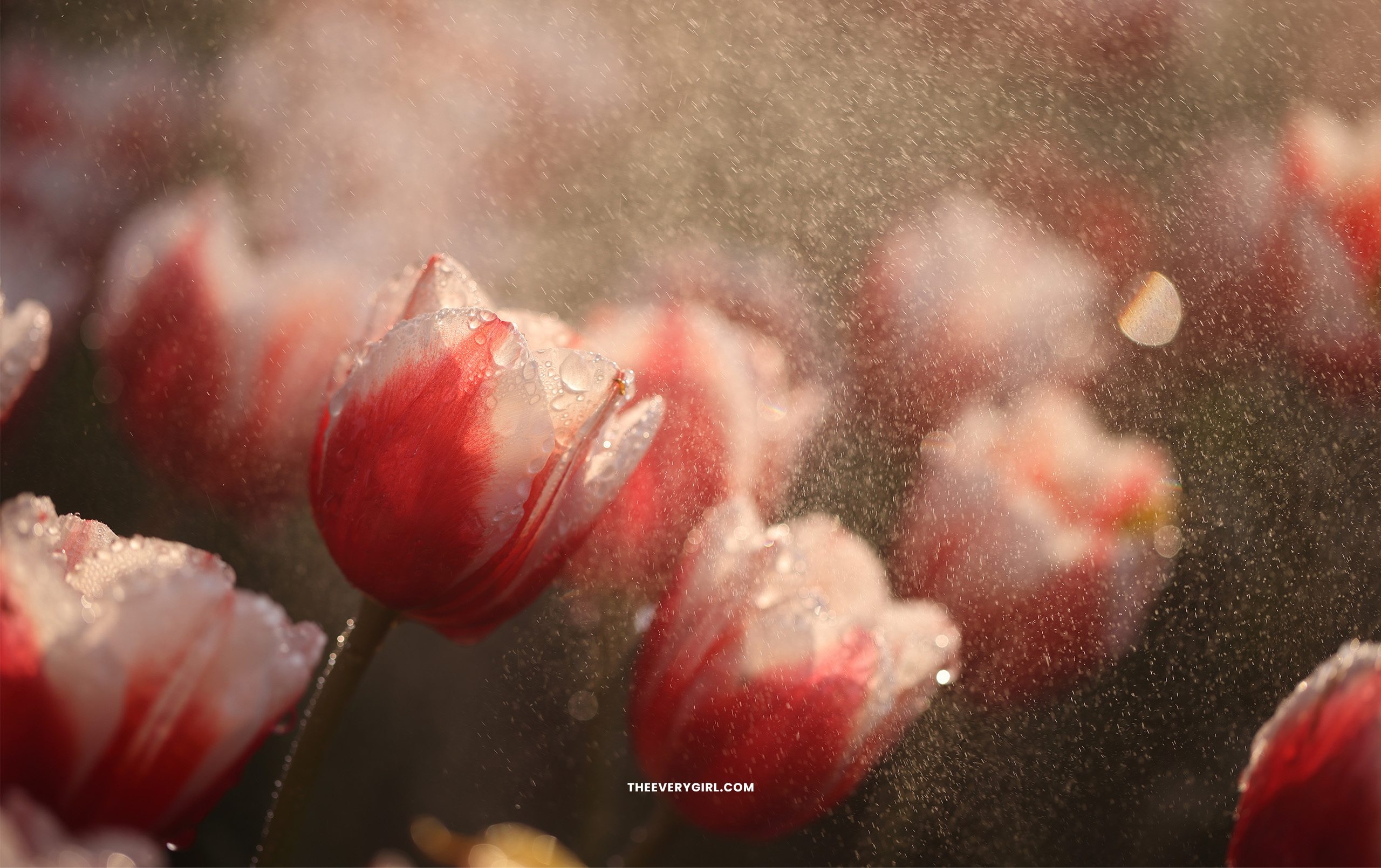 March Tech Backgrounds Free Spring Inspired Wallpapers March Tech Backgrounds Free Spring Inspired Wallpapers