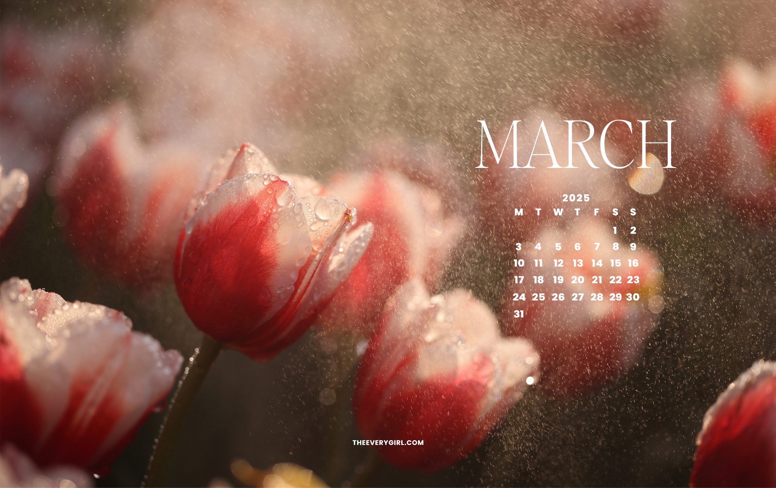 March Tech Backgrounds Free Spring Inspired Wallpapers March Tech Backgrounds Free Spring Inspired Wallpapers