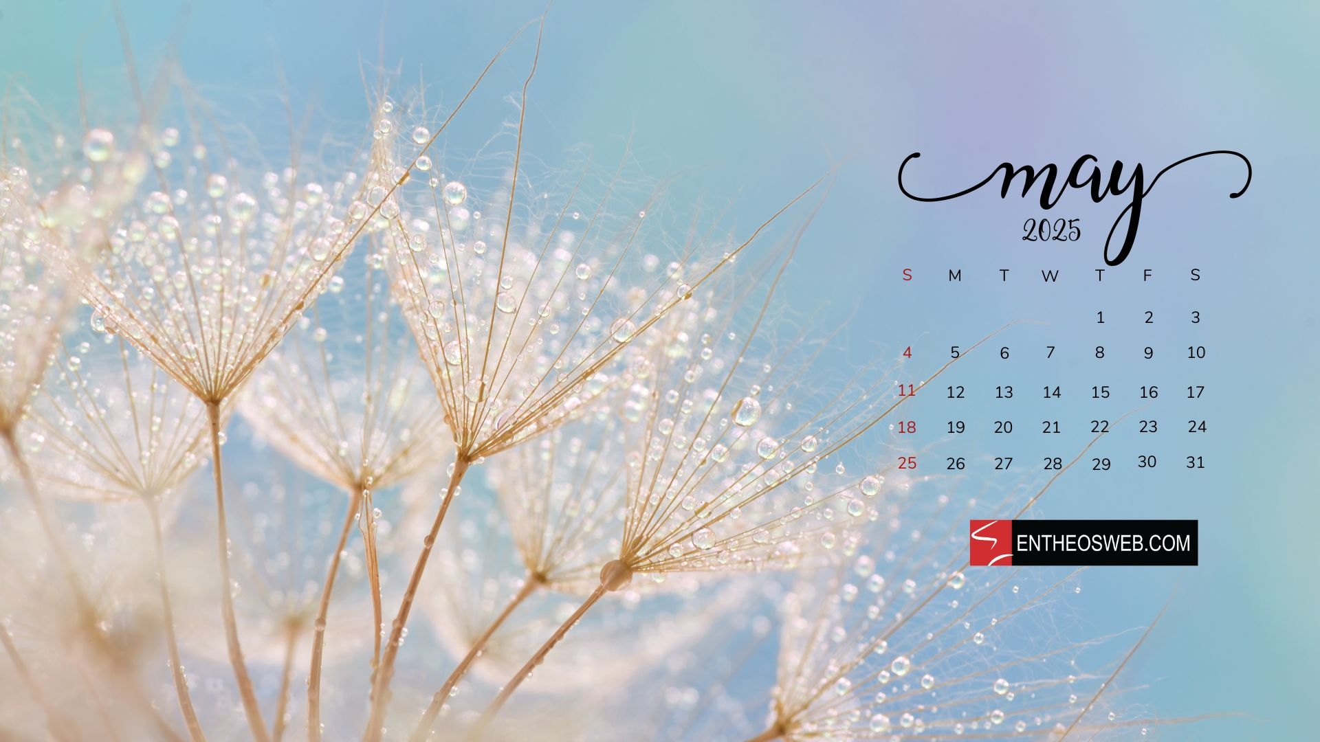 May 2025 Desktop Wallpaper