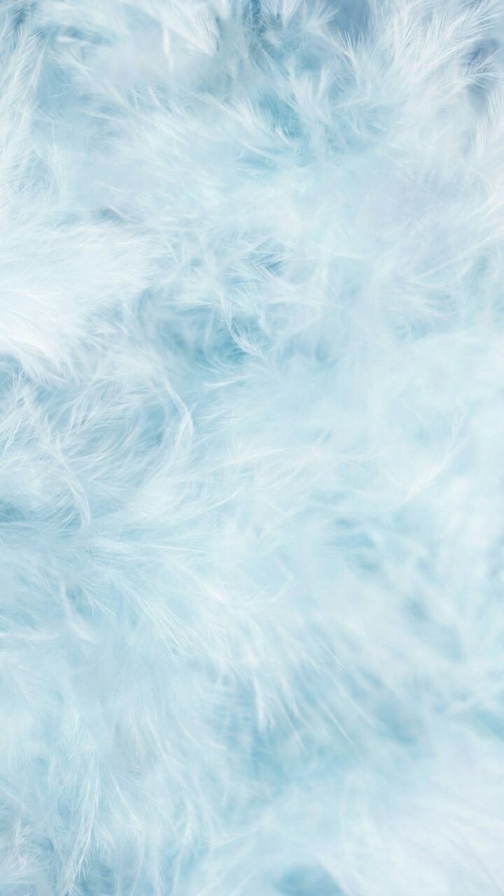 Pastel Blue Feathers Wallpaper Pastel Blue Feathers Wallpaper