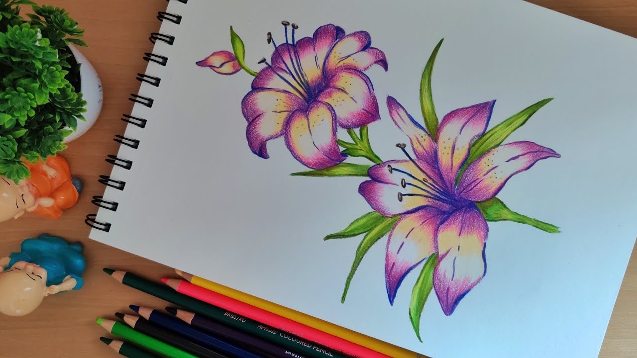Pencil Color Flower Drawing Flower Painting Using Pencil Color Pencil Color Art YouTube