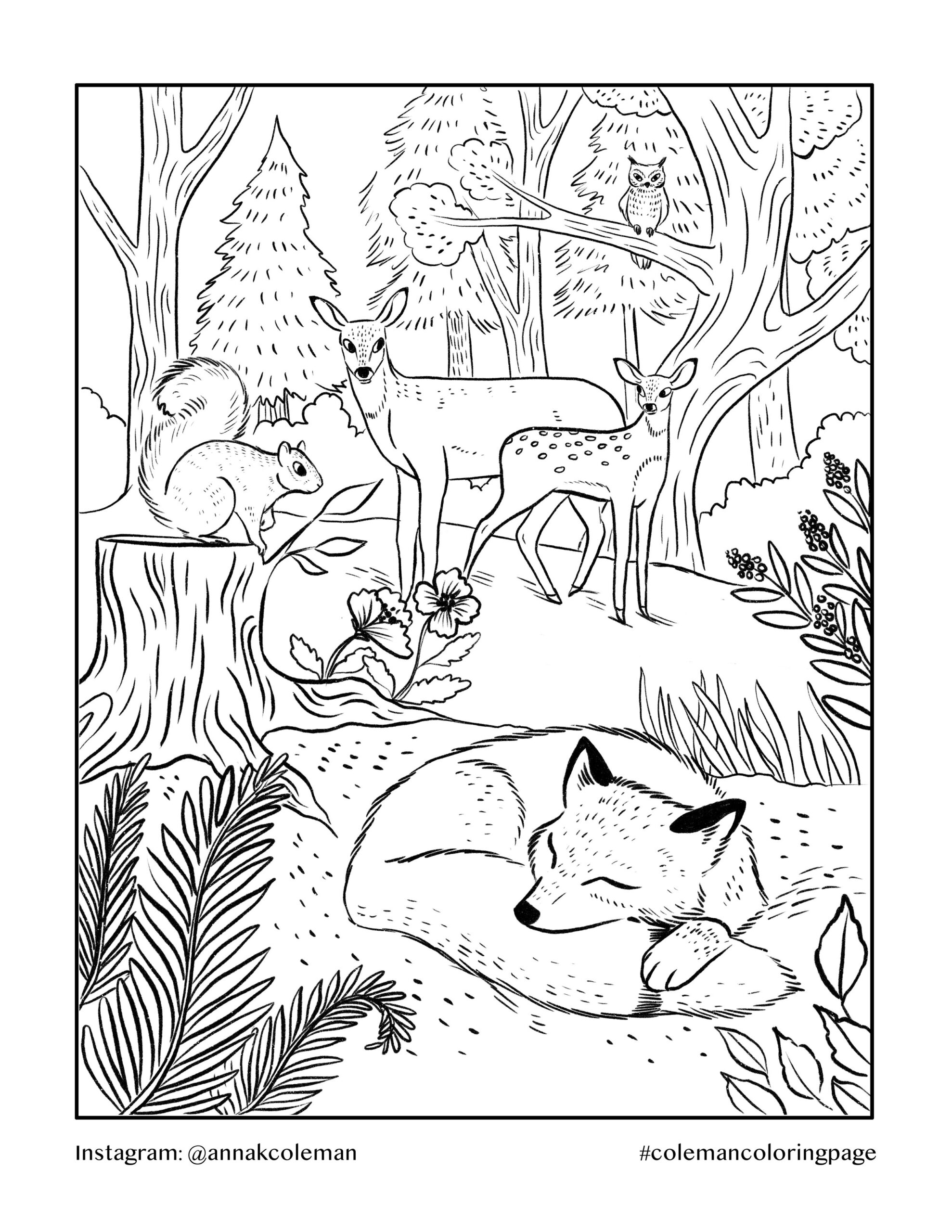 Printable Coloring Pages Anna Coleman