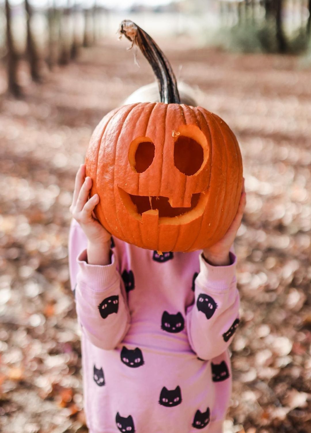 Pumpkin Carving Ideas Fun Easy Designs For The Whole Family