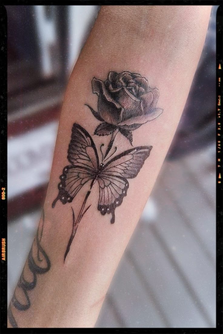 Rose Butterfly
