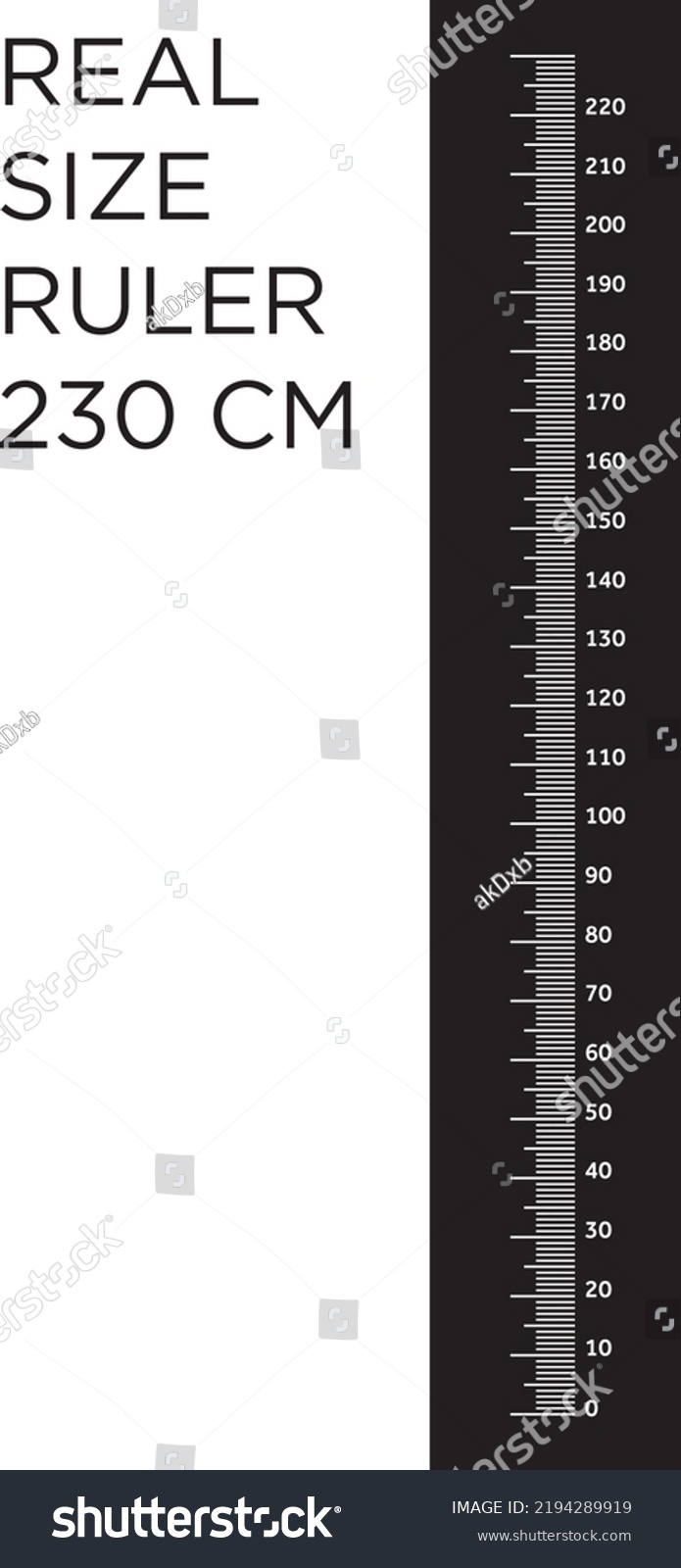 Scale Ruler Actual Size 230 Centimeter Stock Vector Royalty Free 2194289919 Shutterstock