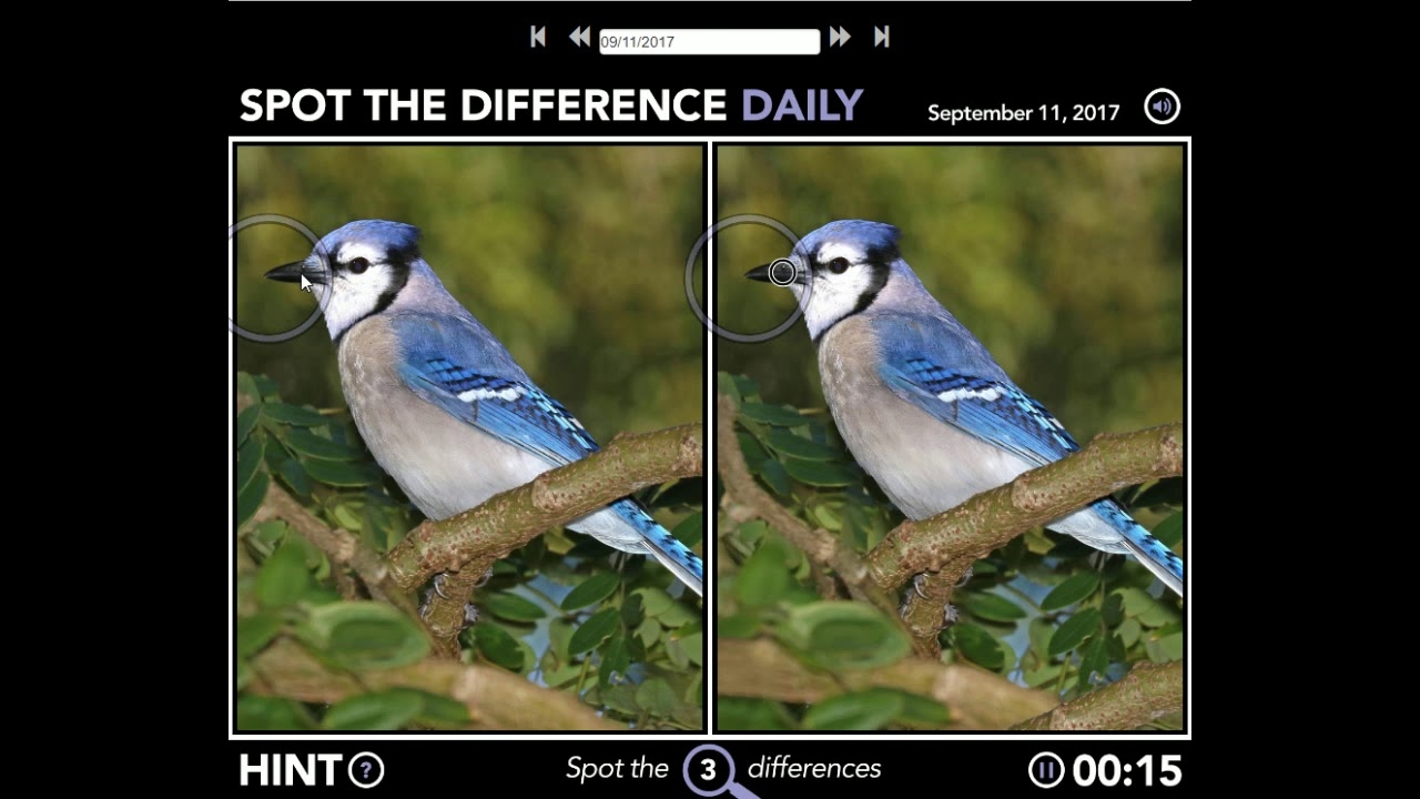 Daily Spot The Difference