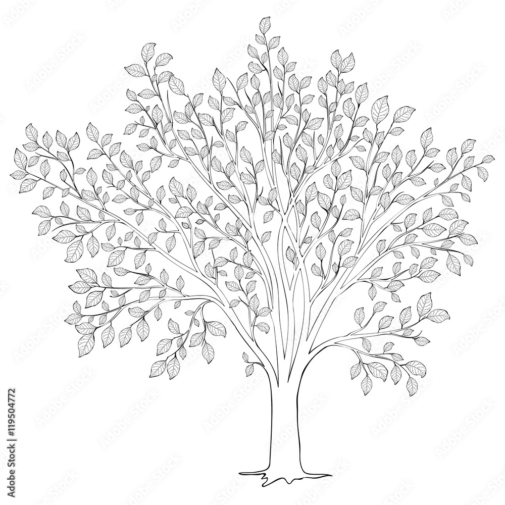 Tree With Leaves Silhouette Vector Coloring Book Page For Adult Stock Vector Adobe Stock Tree With Leaves Silhouette Vector Coloring Book Page For Adult Stock Vector Adobe Stock