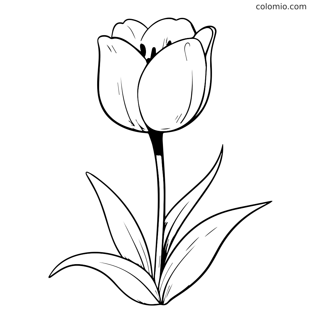 tulip template to color tulip template to color