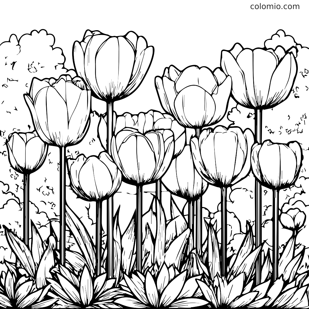 Tulips Coloring Pages Free Printable Tulip Coloring Sheets Tulips Coloring Pages Free Printable Tulip Coloring Sheets