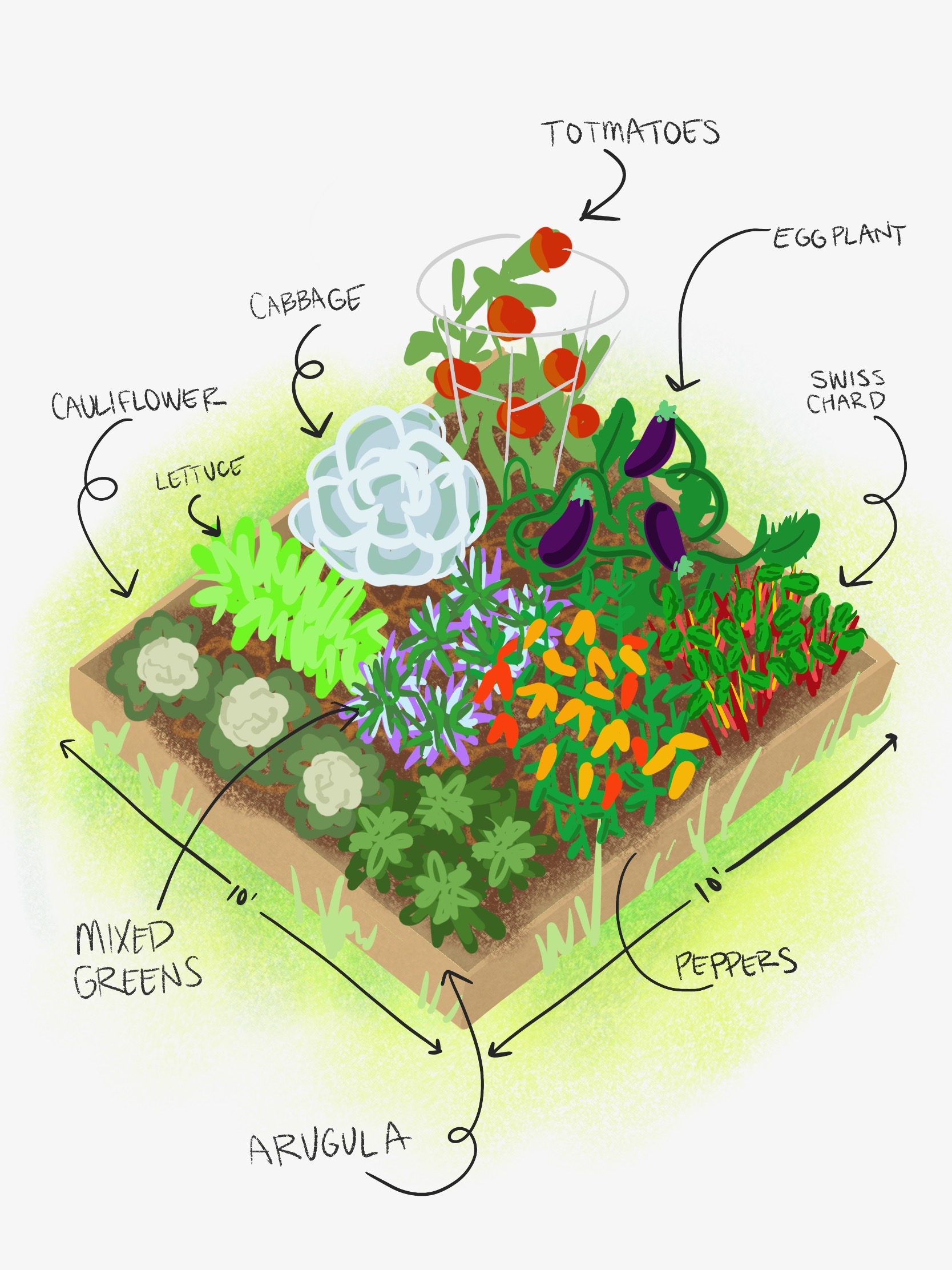 Vegging Out Planning And Planting A Vegetable Garden Tonkadale