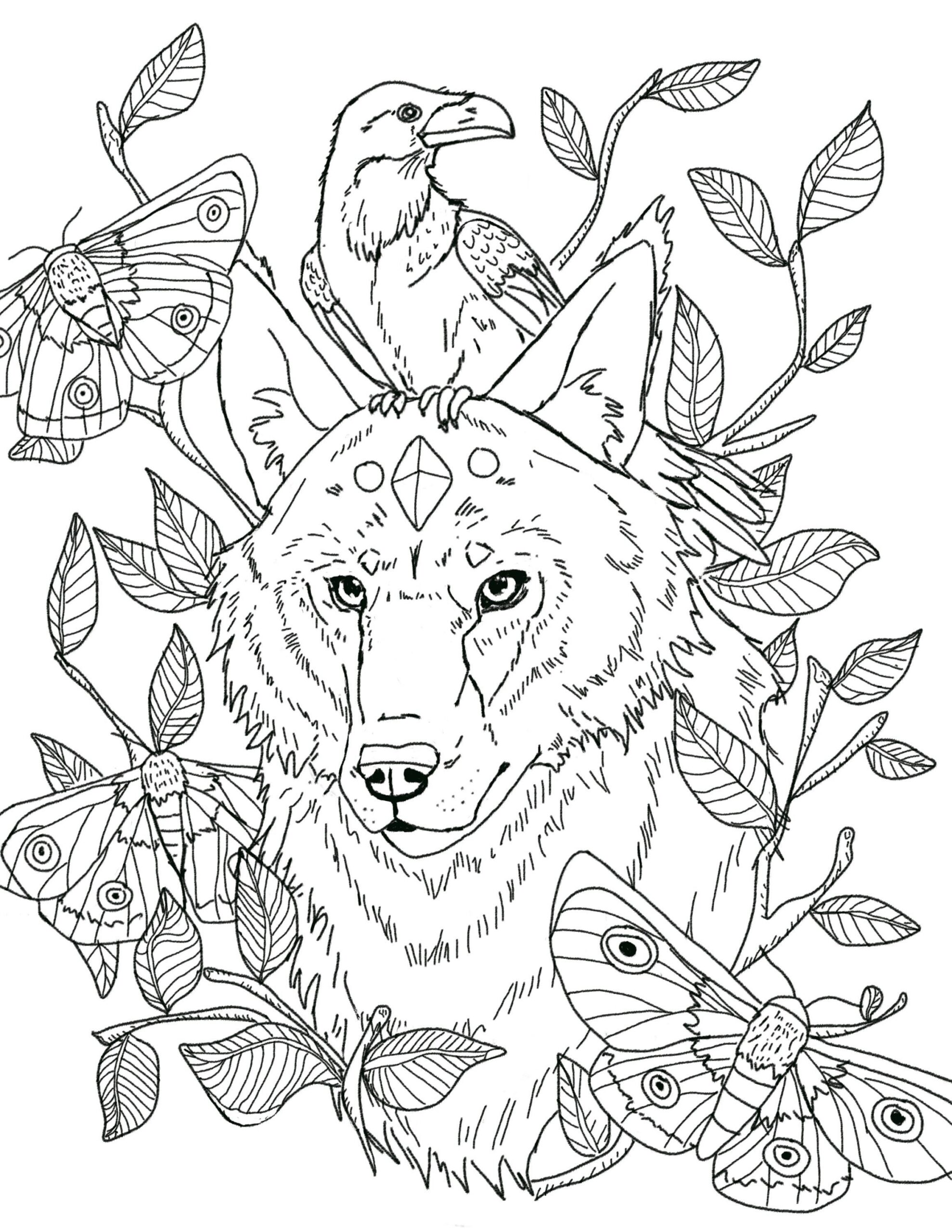 Wolf And Raven Downloadable Coloring Page Etsy